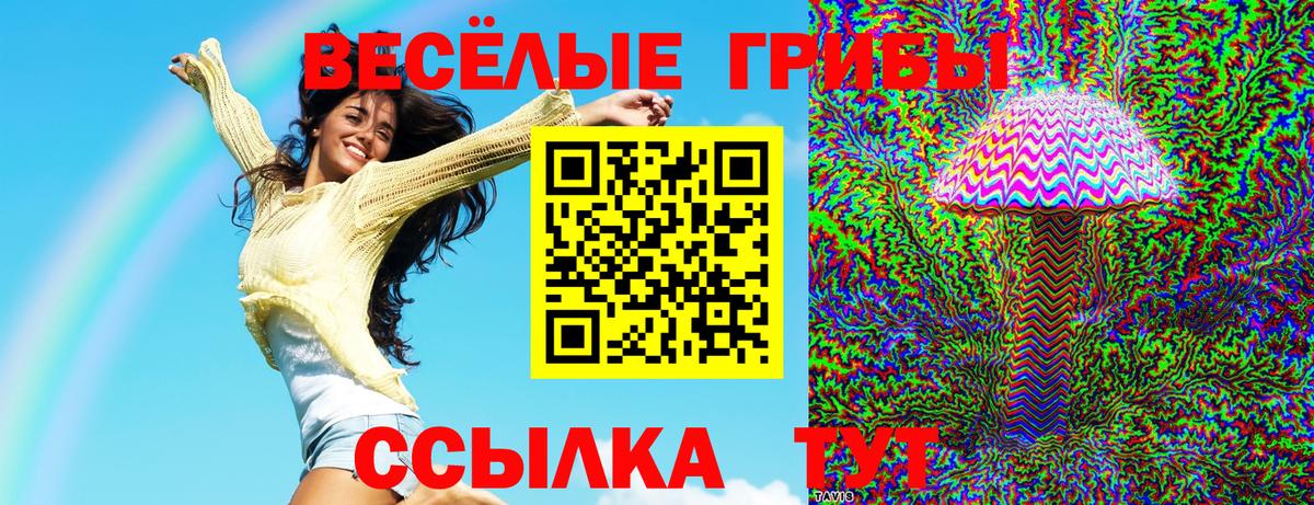 Казань  Псилоцибиновые грибы Cubensis  Псилоцибиновые грибы мухоморы  Вход с VPN 