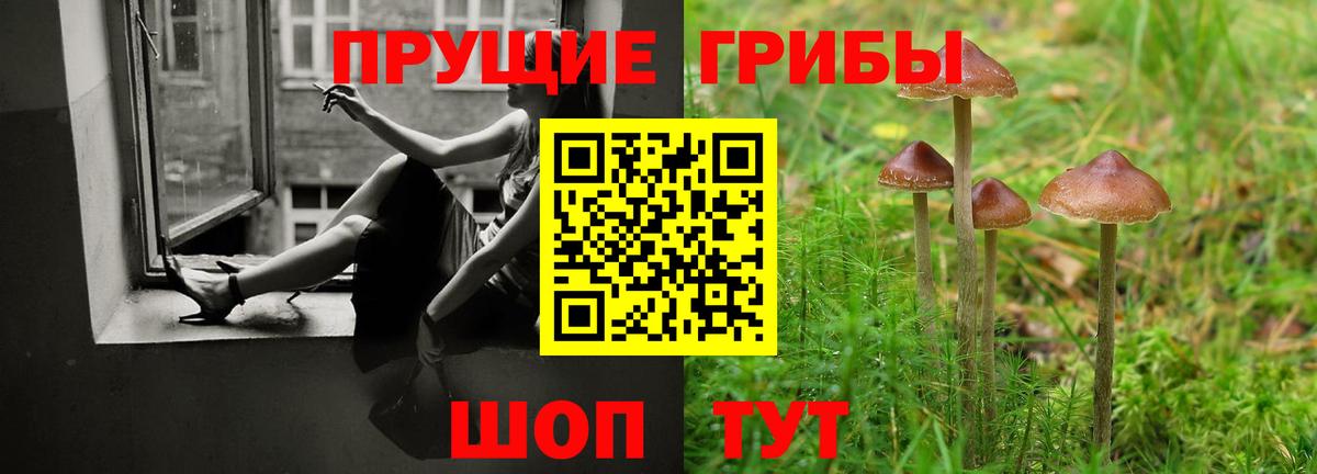 Псилоцибиновые грибы Psilocybine cubensis Казань
